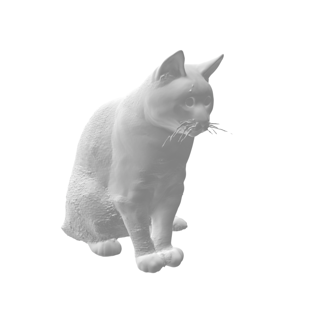 Chats x4
