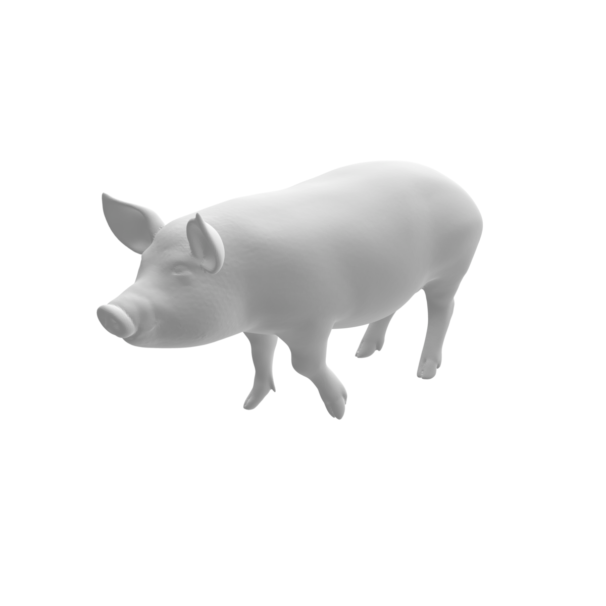 Cochon x3