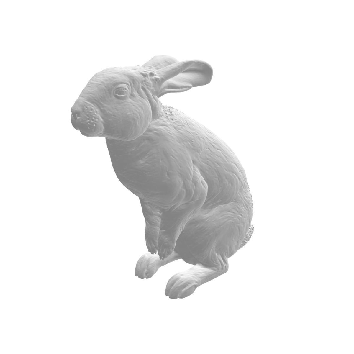 Lapin x4