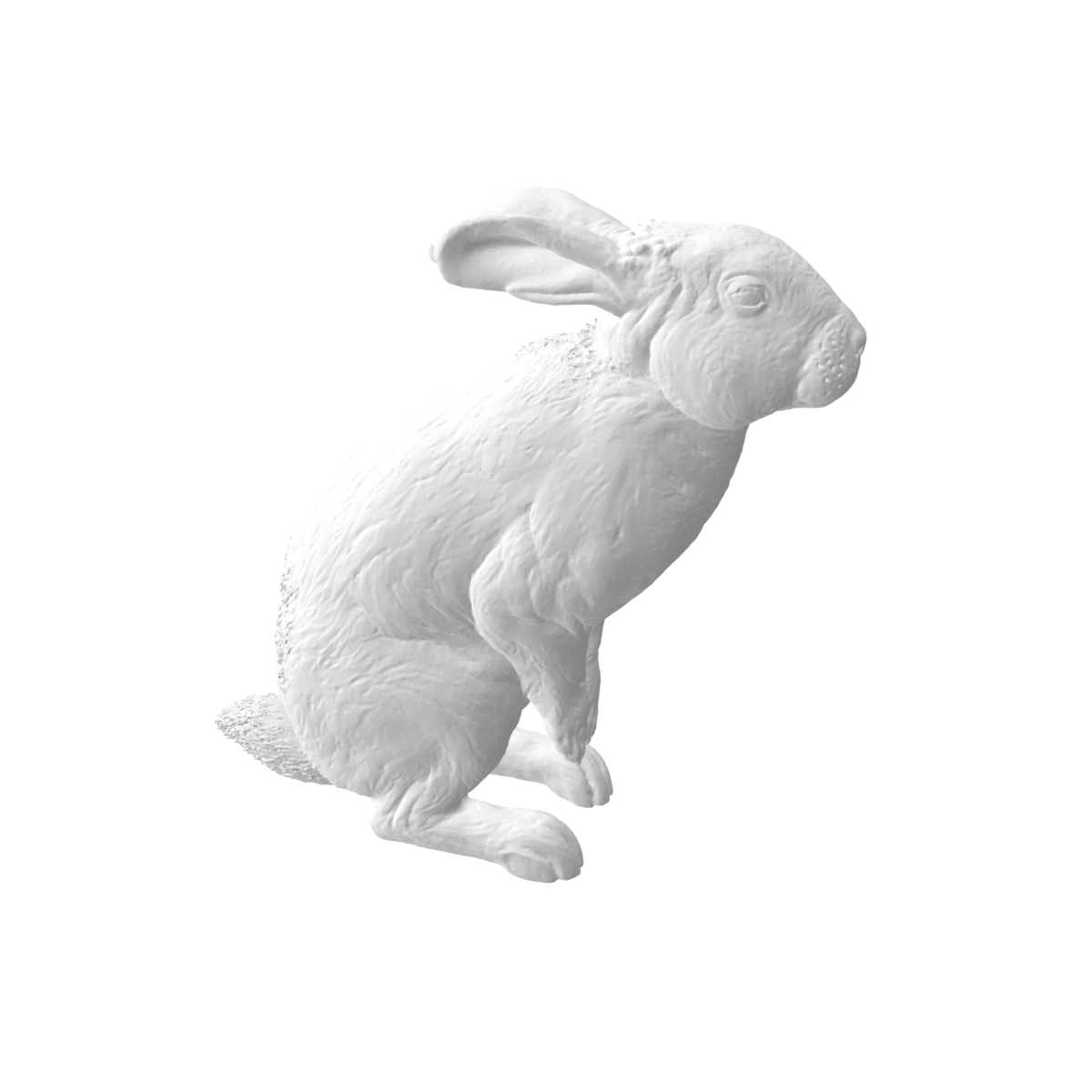 Lapin x4