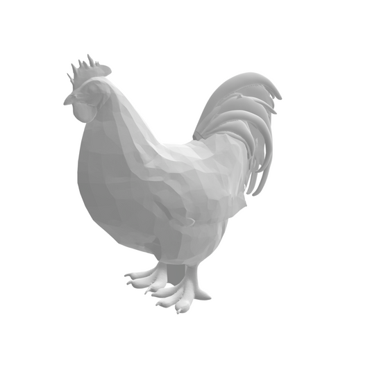 Poule x4