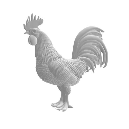 Coq
