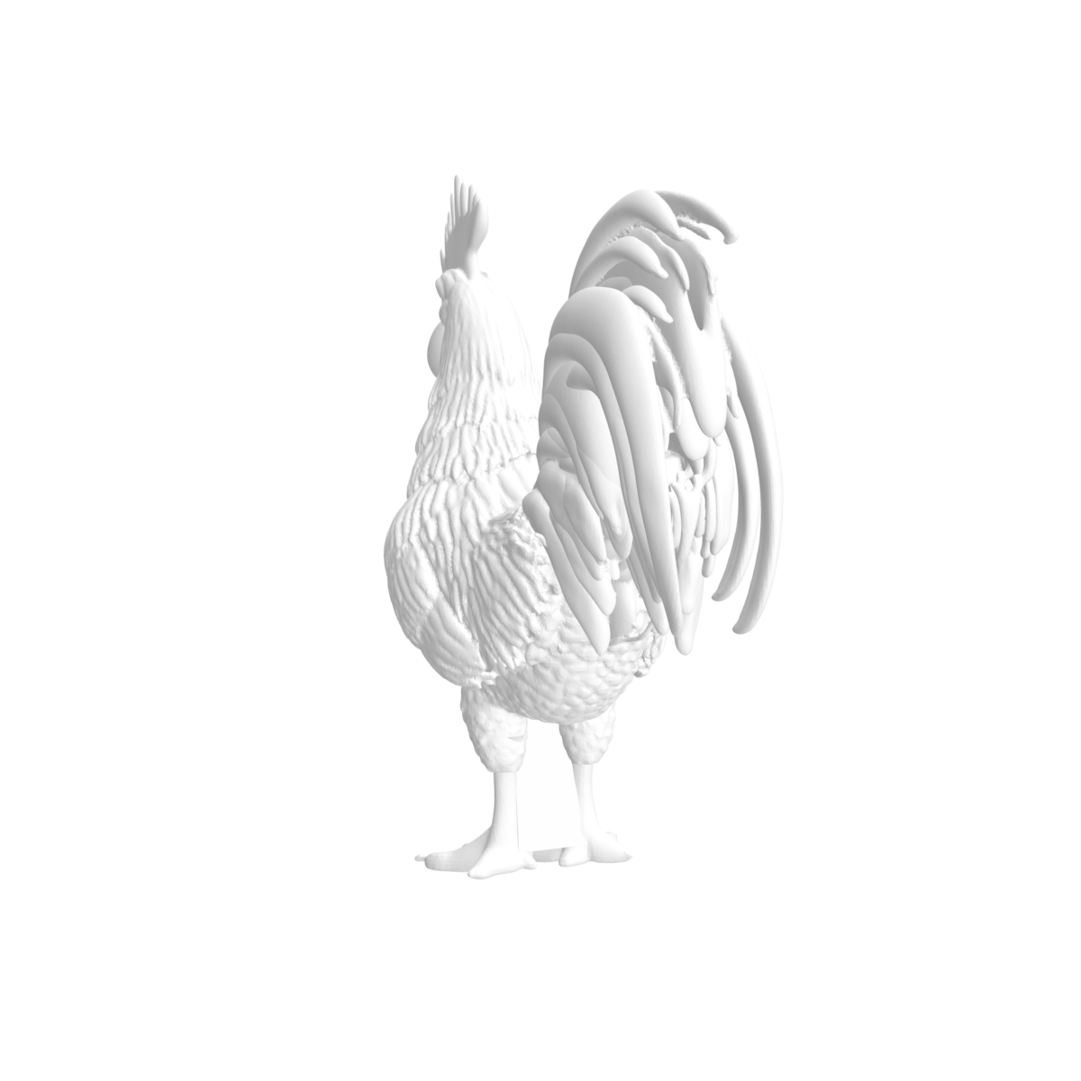 Coq