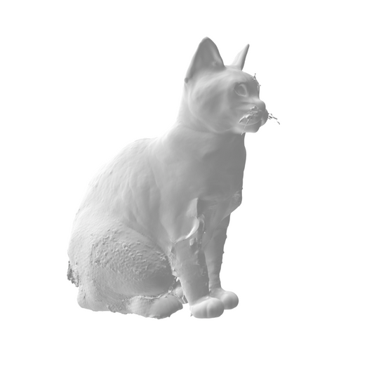 Chats x4
