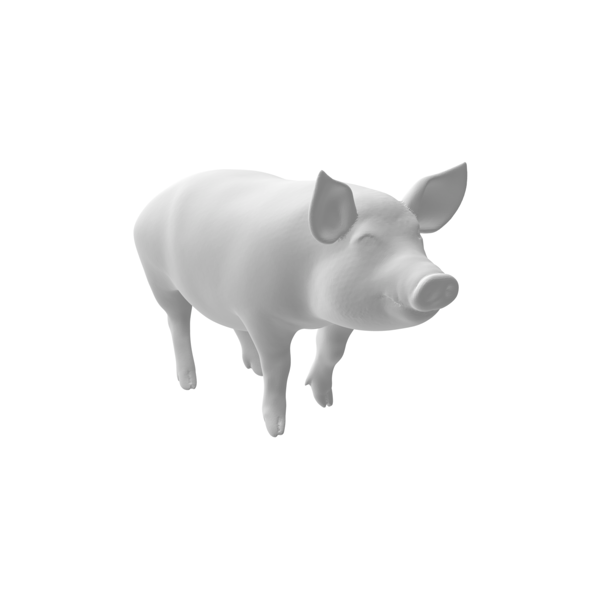 Cochon x3