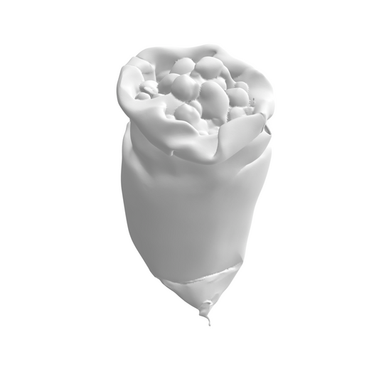 Sac de pomme de terre x5